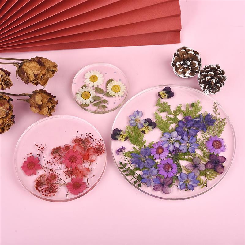 Round Square Rectangle Shape C - Coaster Mold Round ulasan dan harga